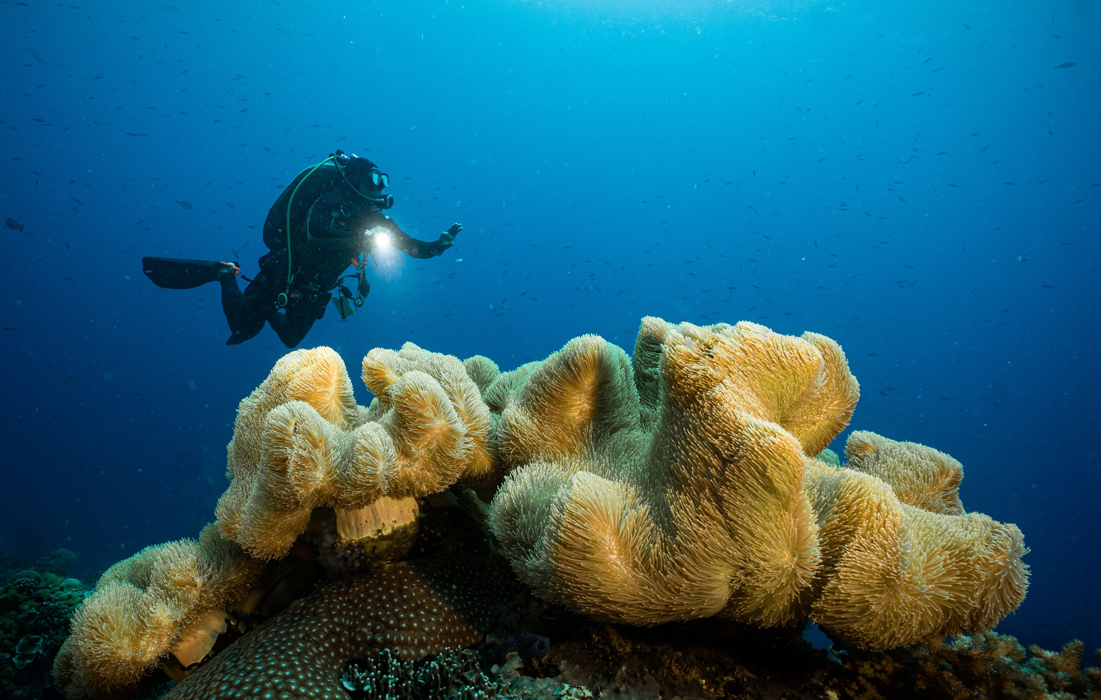 Open Category - Wide Seascape