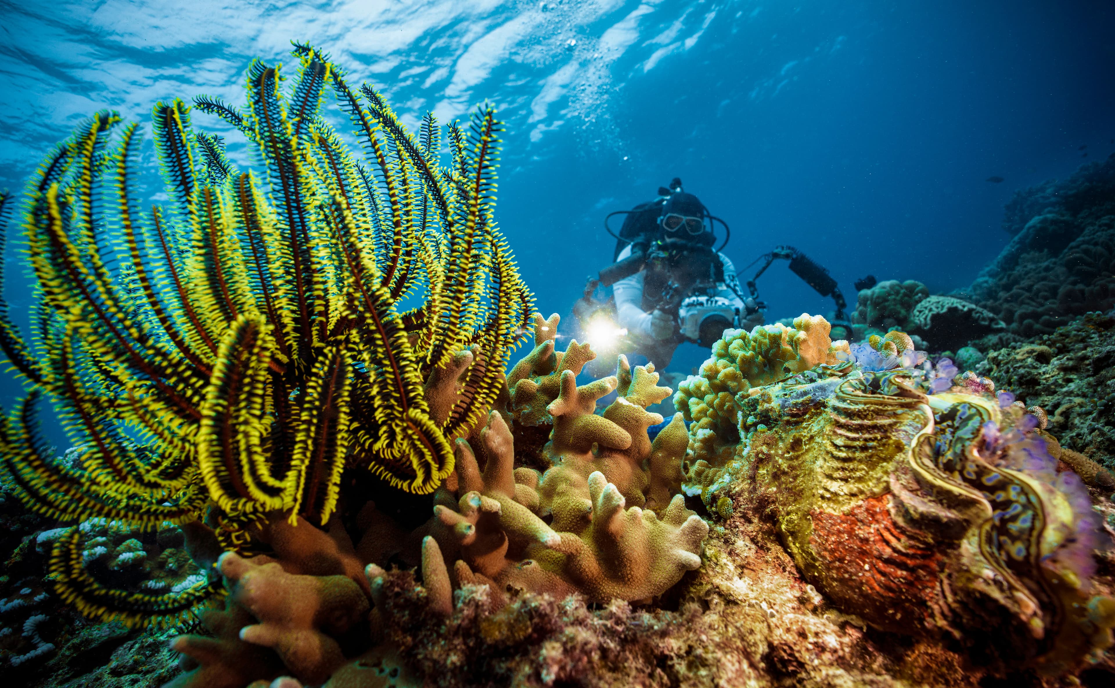 Competition - Wide Seascape